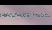 10个让人拍案叫绝的怒字成语学会这些吵架不输人