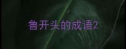 鲁开头的成语