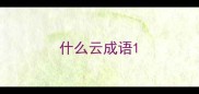 什么云成语