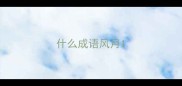 什么成语风月