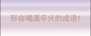 形容喝酒尽兴的成语