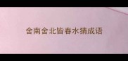 舍南舍北皆春水猜成语