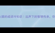 10个让人拍大腿的成语冷知识远声下的智慧传承你了解几个
