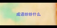 成语纷纷什么