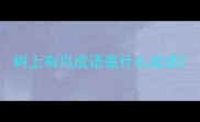 树上有鸟成语是什么成语