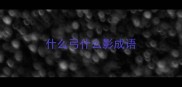什么弓什么影成语