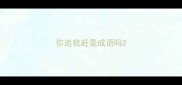 你追我赶是成语吗