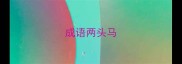 成语两头马