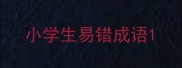 小学生易错成语