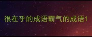 很在乎的成语霸气的成语
