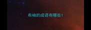 有袖的成语有哪些