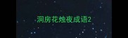 洞房花烛夜成语