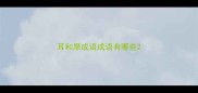 耳和摩成语成语有哪些