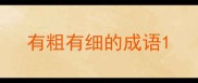 有粗有细的成语