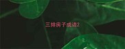 三排房子成语