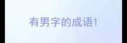 有男字的成语