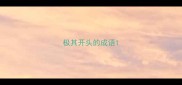 极其开头的成语