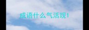 成语什么气活现