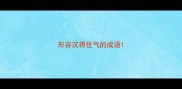形容沉得住气的成语