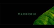 带是和非的成语