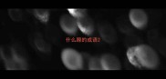 什么躁的成语