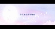 什么相成语有哪些