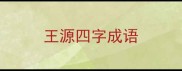 王源四字成语