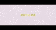 双宿什么成语