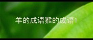 羊的成语猴的成语