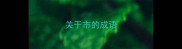关于市的成语