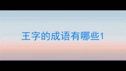 王字的成语有哪些