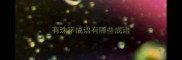 有珠字成语有哪些成语
