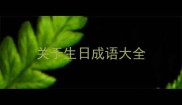 关于生日成语大全