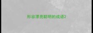 形容漂亮聪明的成语