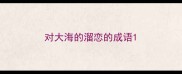 对大海的溜恋的成语