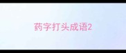 药字打头成语