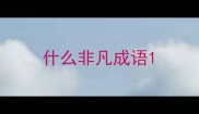 什么非凡成语