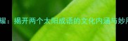 双阳并耀揭开两个太阳成语的文化内涵与妙用指南