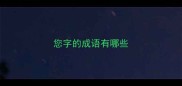 您字的成语有哪些