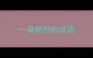 一身是胆的成语