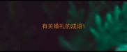 有关婚礼的成语