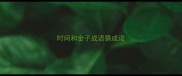 时间和金子成语猜成语