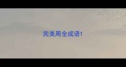 完美周全成语