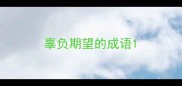 辜负期望的成语
