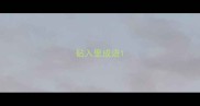 砧入里成语
