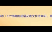 莲字成语推荐5个惊艳的成语及莲文化冷知识美到心坎里