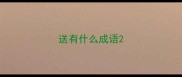 送有什么成语
