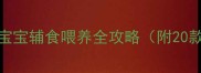 粑粑不端宝宝辅食喂养全攻略附20款营养食谱