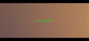 关于为成语