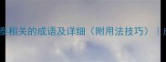 100个与泰相关的成语及详细附用法技巧成语大全
